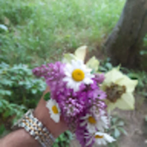 Meet your Posher, Khvicha